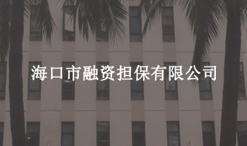 ?？谑腥谫Y擔(dān)保有限公司